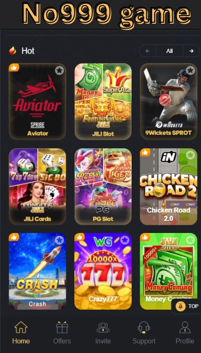 No999 game dashboard image 