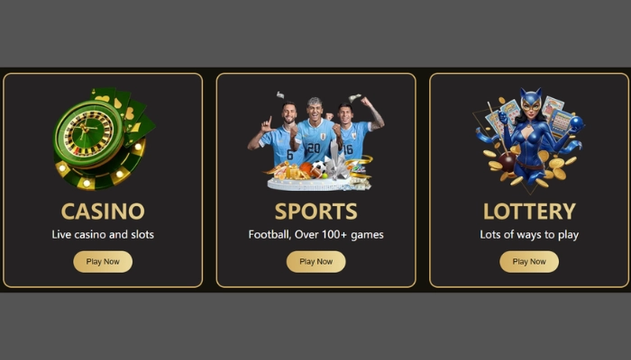 bb98 game dashboard image (2)