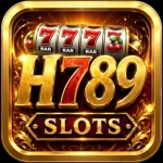 H789 Game Logo image