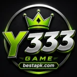 Y333 Game Logo image